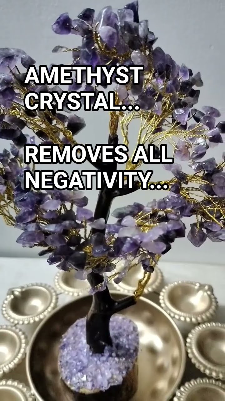 📹शॉर्ट अपडेट्स वीडियो 🎥 - ShareChat