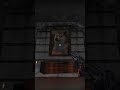 Doge Easter Egg In Ion Fury  #shorts #gaming #doge