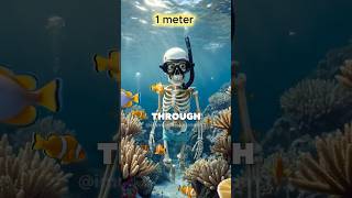 How Deep Could You Go Into the Ocean Before Terror Takes Over?
