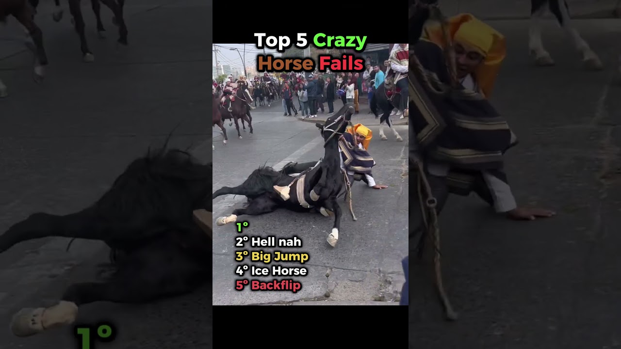 🐎💥 Top 5 Horse Fail Moments