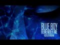 Blue Boy Remember Me Kölsch Remix mp3