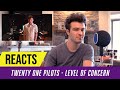 Producer Reacts to Twenty One Pilots - Level of Concern