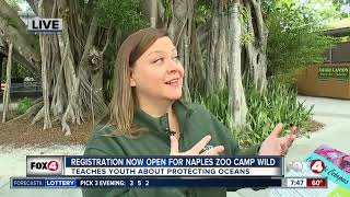 Naples Zoo Features Art Exhibit To Educate About Ocean Pollution Naples Zoo Features Art Exhibit To Educate About Ocean Pollution