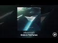 Krzto &amp; TrisTunez - Aftermath (Summer Sounds Release)