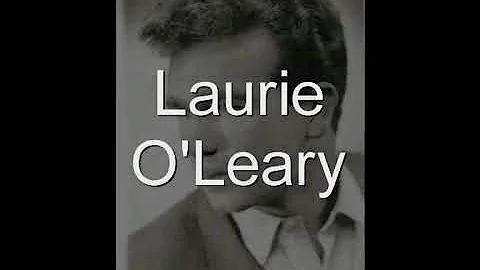 Mr. Wonderful - Laurie O'Leary