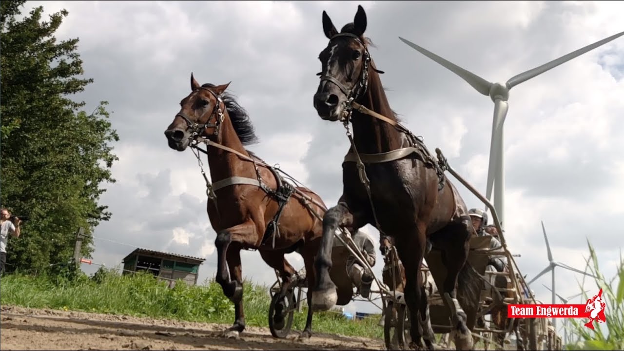 Team Engwerda website video 2019