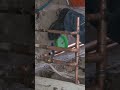 Plumbing Soldering Copper Pipes #plumbing
