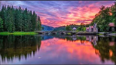 سورة قريش القارئ شيخ أبو بكر الشاطري