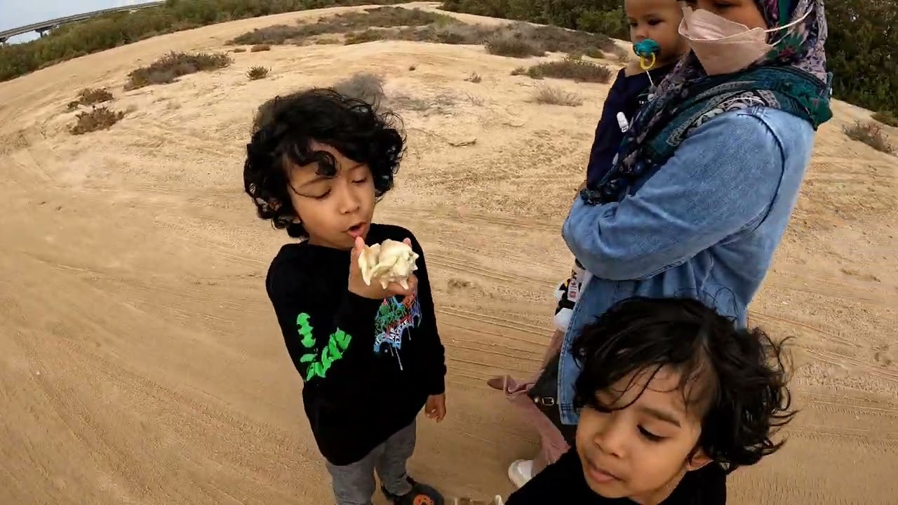 Short Trip to Farasan Island, Saudi Arabia