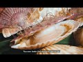 Sapporo Gourmet Foods and Winter Wonders