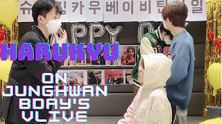 Harukyu on JungHwan Bday's Vlive
