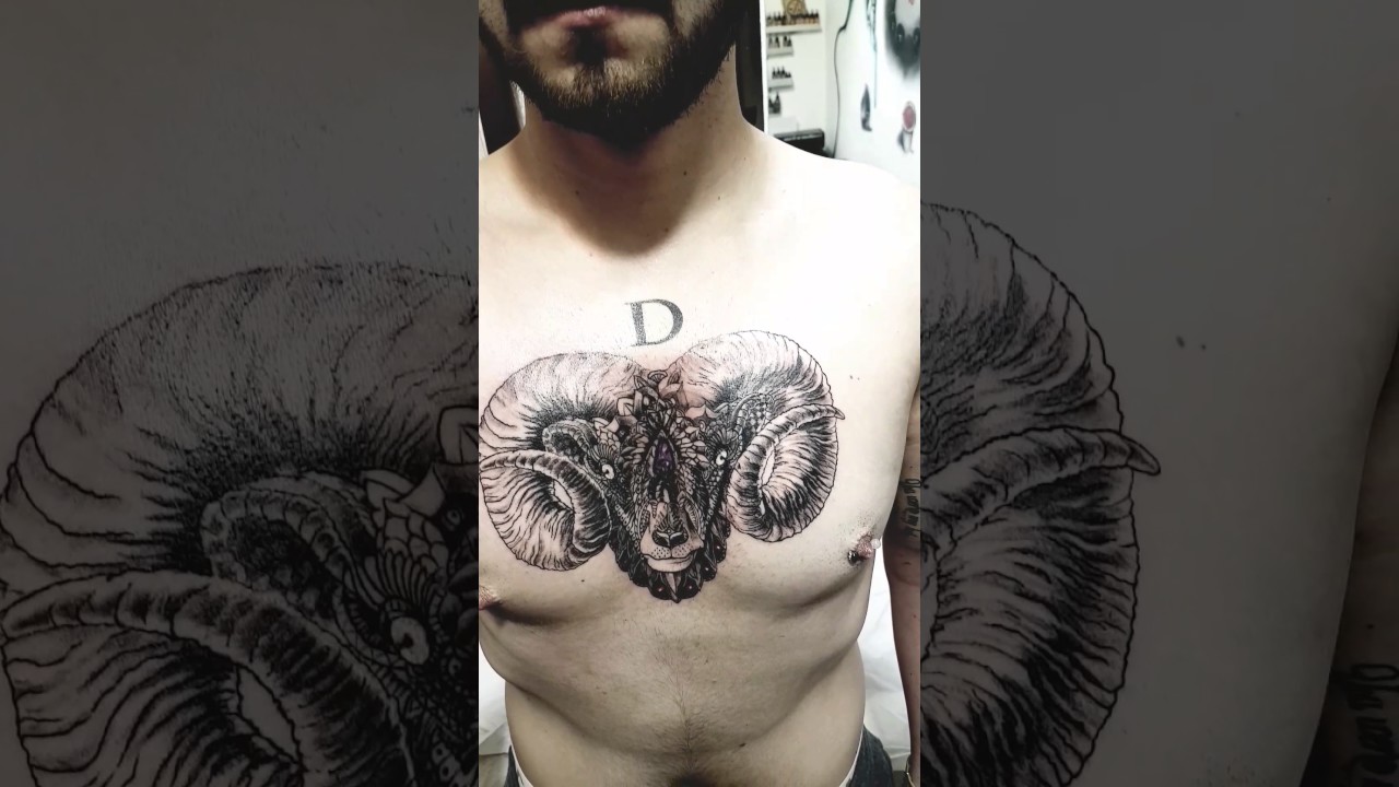 youtube animal tatou YouTube   tattoo Carnero