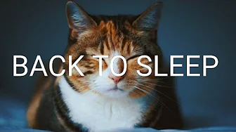 Back To Sleep (Lyrics) - Danni Carra, Miles Away Back To Sleep (Lyrics) - Danni Carra, Miles Away