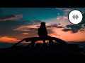 Insomnia vlog no copyright music