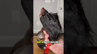 A DIETA MAIS BIZARRA DO MUNDO! #curiosidades