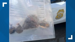 IMPD arrests 4 people for narcotics-related crimes, 2 on warrants in downtown Indianapolis