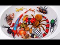 ZURU ROBO ALIVE COLLECTION | UNBOXING Robot Tarantula, New Robo Alive Giant creepers | ASMR