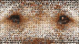 Minute of 1000 Dogs by Warren Photographic 49,628 views 3 years ago 1 minute, 17 seconds