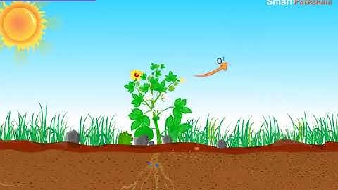 NCERT CBSE Class 8 Science Chapter 18 Pollution of Air and Water Part 2