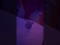 Bio energetic Massage / Биоэнергетический массаж / Բիո-Էներգետիկ մերսում