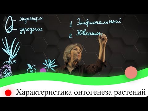 Характеристика онтогенеза растений. 7 класс.