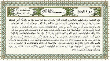 الذِّكْرُ الحَكِيْمُ - سورة البقرة من الآية 60 الى الآية 66 – القارىء المهندس أحمد ناجي