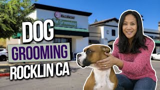 Stress Free Cage Free Dog and Cat Grooming Salon Rocklin CA