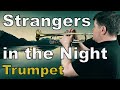 Frank sinatra  strangers in the night trumpet cover