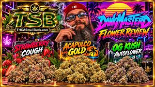 🔥 ZURÜCK VOM MUSIKFESTIVAL! 🎶 THCASmallBuds Review 🍓 Strawberry Cough, Acapulco Gold & OG Kush 🌿