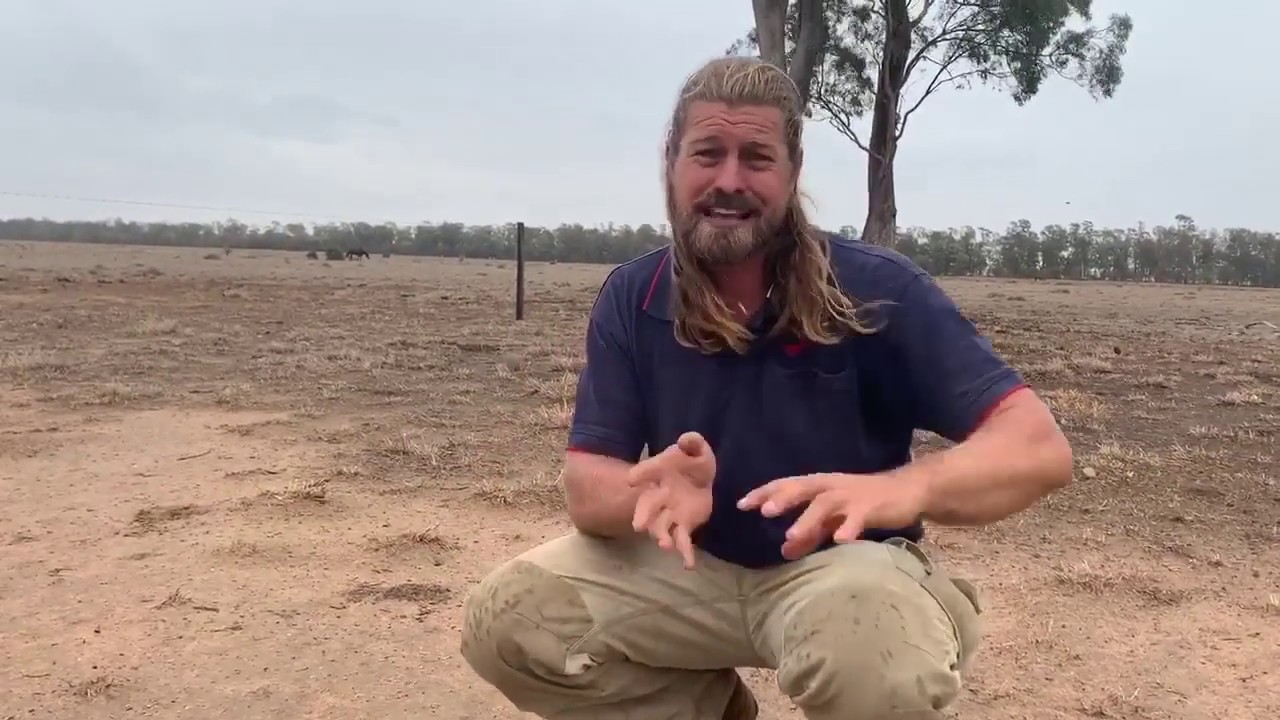 So what the hell do livestock and native mammals eat during a drought