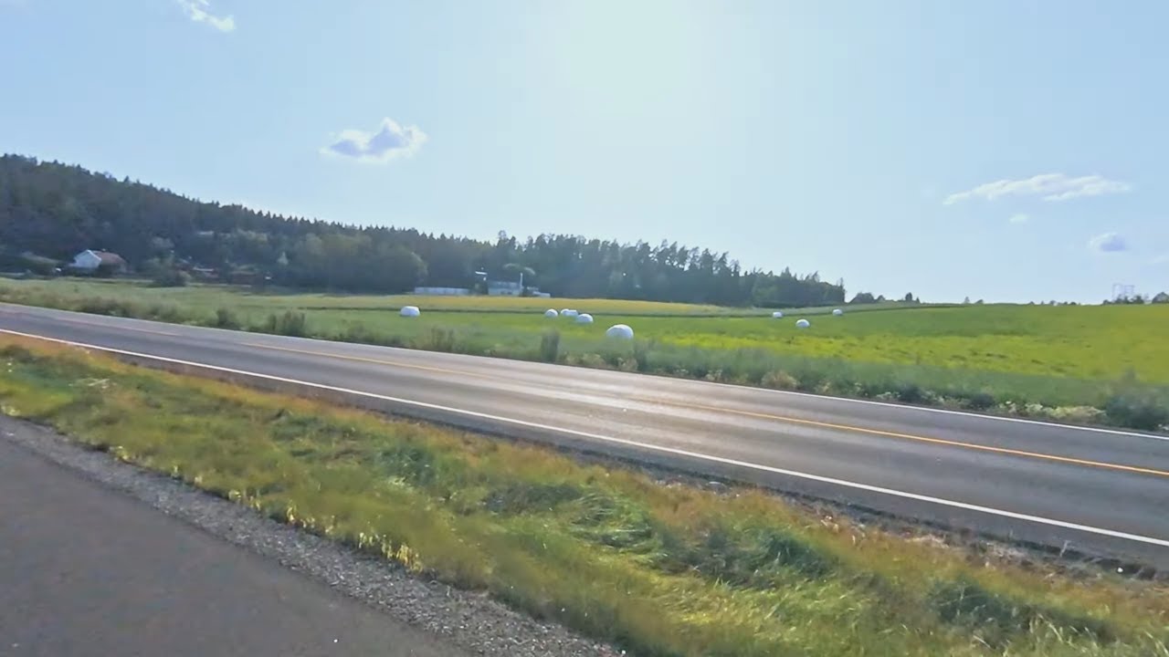 Schuckertlinna(whole path from top to bottom), Askim, Indre Østfold, Viken, Norway