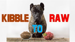 Transitioning from a Kibble Diet to a Raw Diet for Your Dog - Mixing vs Fasting
