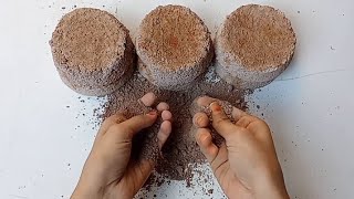 Alpidex Blocks Circle Swirly Sanctuary Homemade Chalk