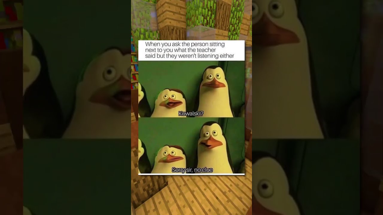 Relatable School Memes 
