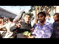 Birds Market Lalukhet Sunday Video Latest Update 13-2-22 By Sohail Ahmed TV in Urdu/Hindi