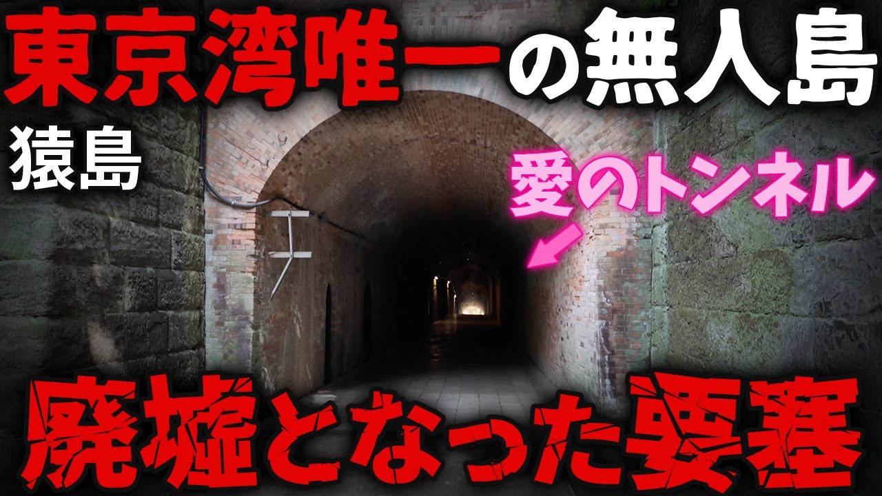 廃墟のような無人島には戦争の跡が残り続けていた…