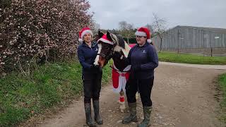 World Horse Welfare Christmas Message 2021