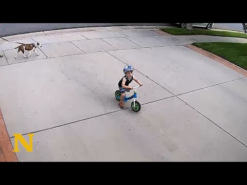 This Man Really Knows How To Deal With Kids Playing On The Driveway
