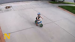 This Man Really Knows How To Deal With Kids Playing On The Driveway