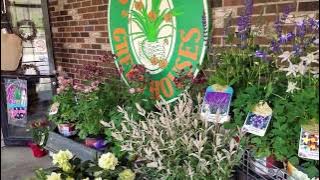 Chapons Greenhouses in early April 2017