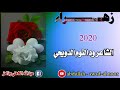 ٢٢ يوليو ٢٠٢٠ 7 ٢٢ يوليو ٢٠٢٠ 7