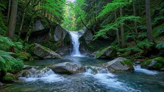 Tranquil River Flow 🌿 Soothing Nature Soundscape for Sleep and Stress Relief #3263