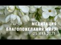 Медитация Благопожелания миру 25 мая 2023