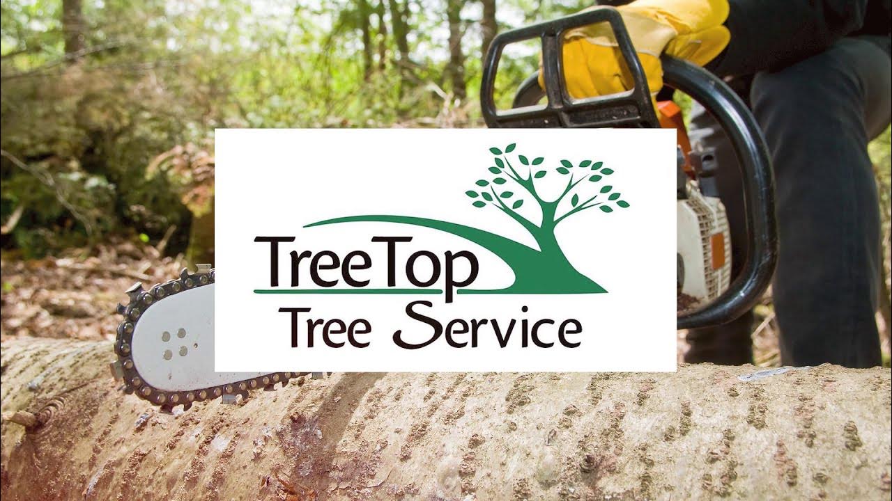 Tree Top Tree Service YouTube