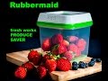 Fresh works produce saver by rubbermaid food saver review