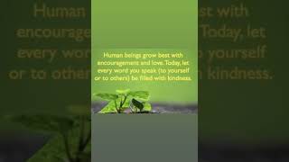 Choose Kindness ~ Laurasia Mattingly