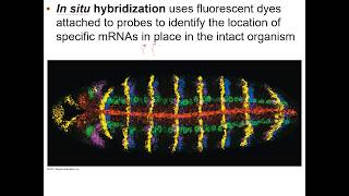 Analyzing Gene Expression Profile