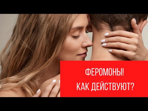 Феромоны. Афродизиаки. Как действуют || Юрий Прокопенко