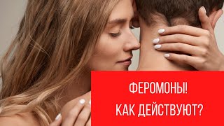 Феромоны. Афродизиаки. Как действуют || Юрий Прокопенко