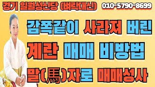 [경기용한점집] 감쪽같이 사라져 버린 계란 매매 비방법 말(馬)자가 살려 매매성사